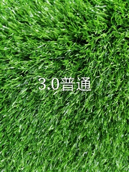 捷安特